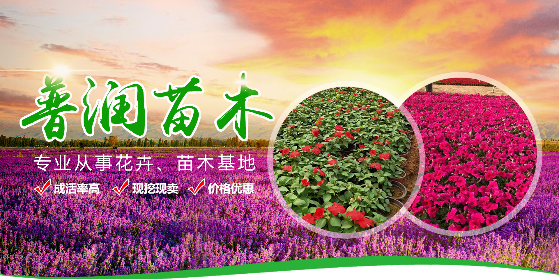 濟(jì)寧市天眾機(jī)械有限公司<br>