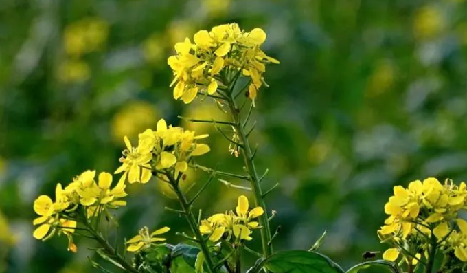 20180320132640_49603