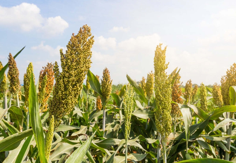 20180320132640_49603 20180320132640_49603